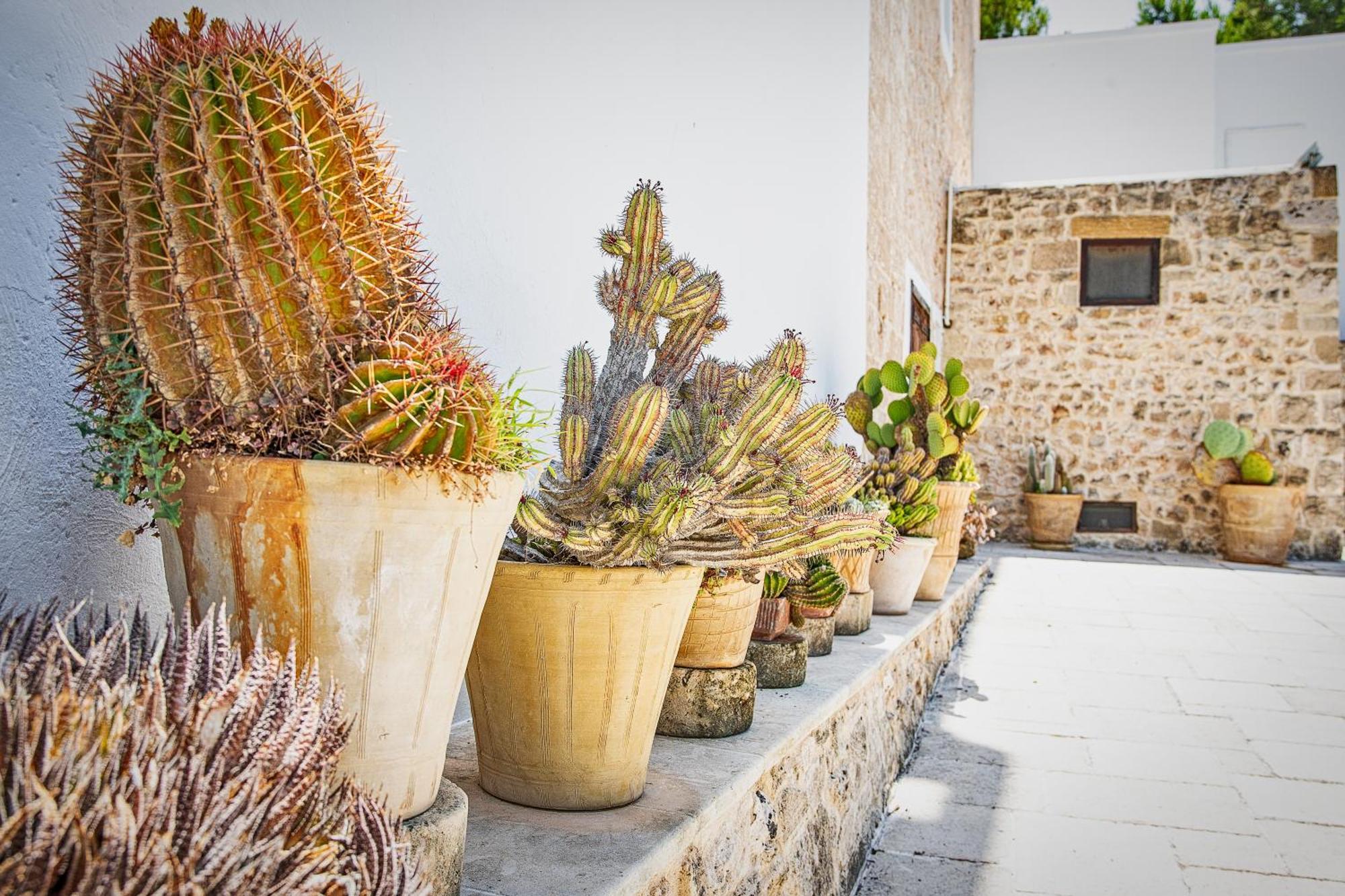Torre Casciani Villa Ugento Exterior foto